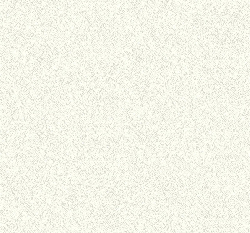Rifle Paper Co. Champagne Dots Linen Wallpaper