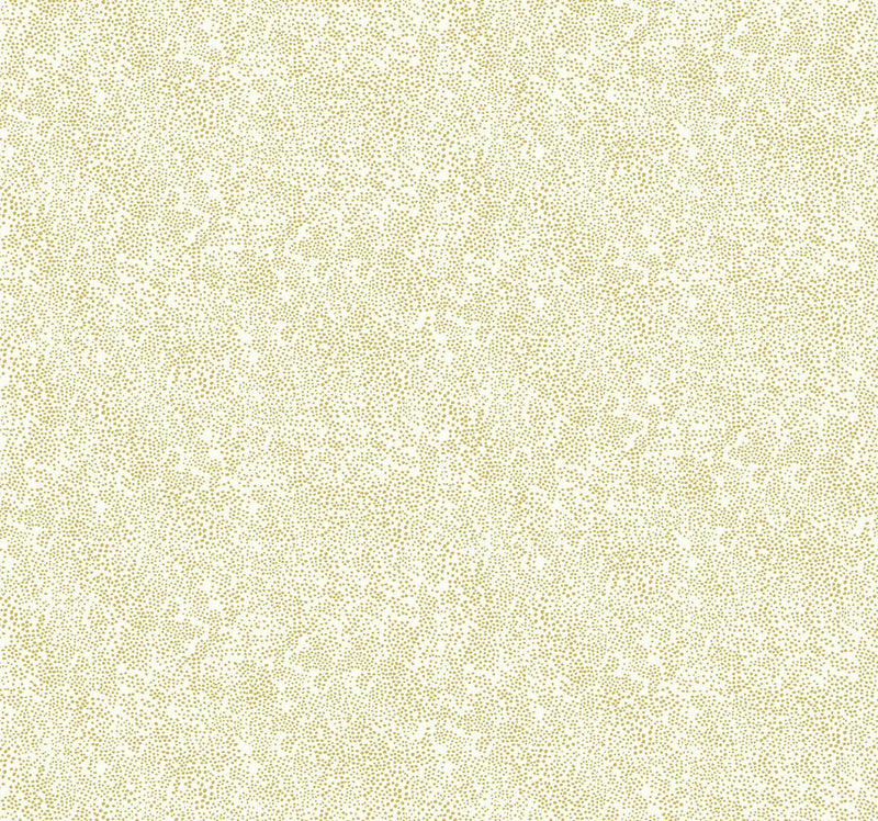Rifle Paper Co. Champagne Dots Gold/White Wallpaper