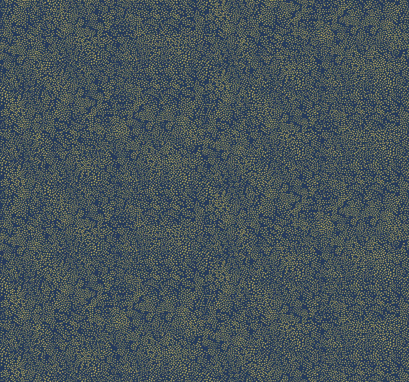Rifle Paper Co. Champagne Dots Gold/Navy Wallpaper