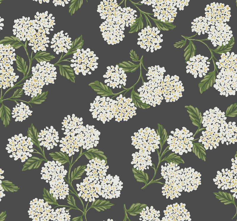 Rifle Paper Co. Hydrangea Black/White Wallpaper