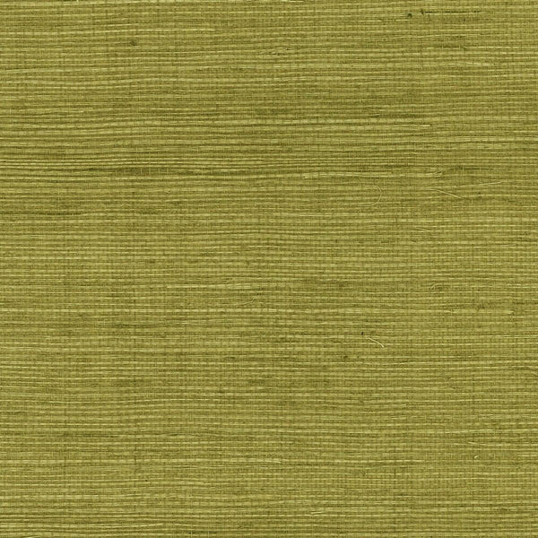 Seabrook Sisal Grasscloth Olive Wallpaper