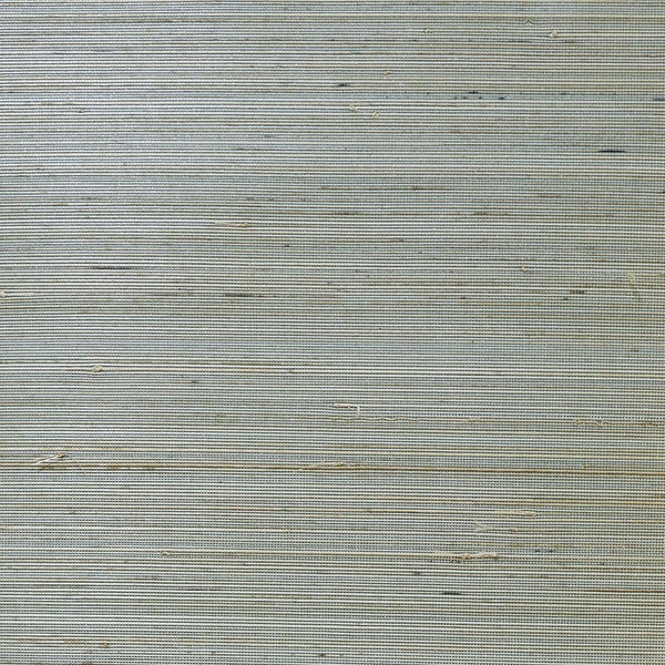 Seabrook Abaca Grasscloth Lake Forest And Sandy Shore Wallpaper