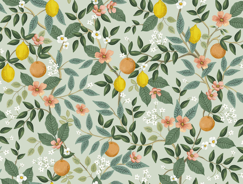 Rifle Paper Co. Citrus Grove Peel And Stick Mint Wallpaper