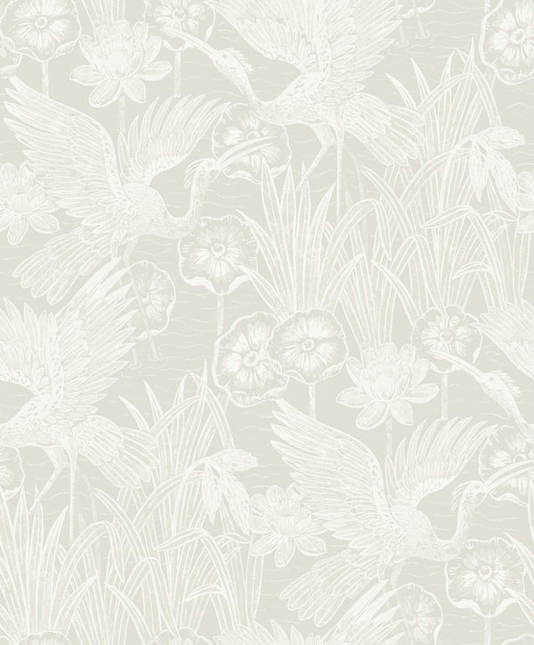 Seabrook Marsh Cranes Daylight Wallpaper