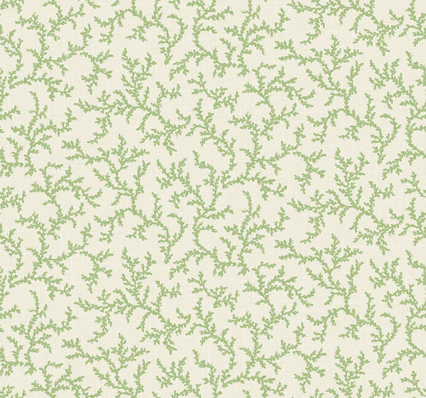 Seabrook Corail Herb Wallpaper