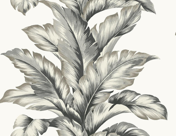 Seabrook Banana Springs Greystone Wallpaper