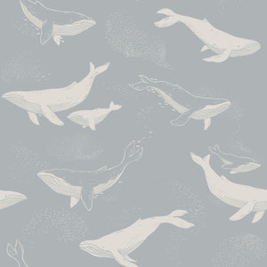 Schumacher - Whales - Slate - 6942 - Wallpaper