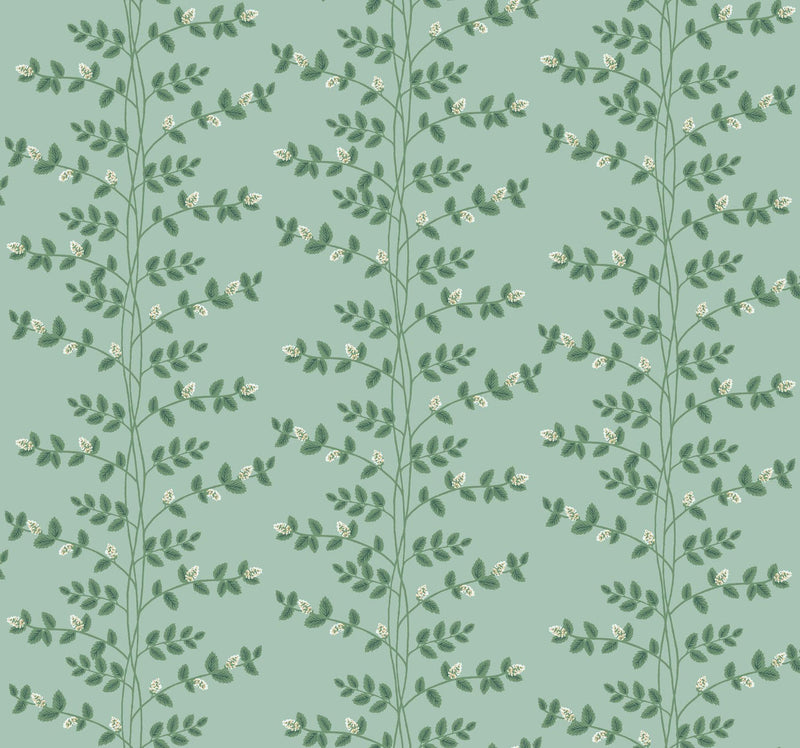 Rifle Paper Co. Climbing Vine Green Wallpaper