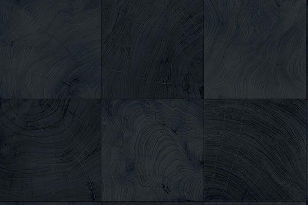 Seabrook Kemi Stargazer Wallpaper