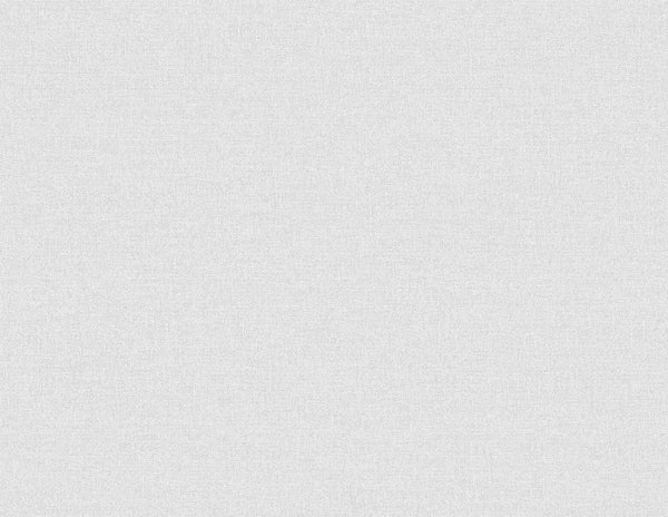 Seabrook Normandy Ice Rink Wallpaper