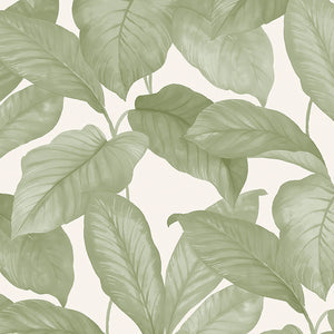 Schumacher - Bo - Leaf - 7402 - Wallpaper