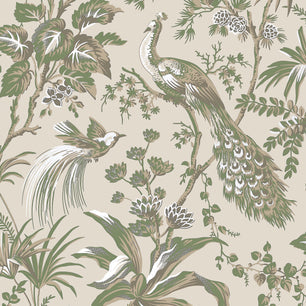 PEACOCK TOILE - Green on Natural - Thibaut - AT57832 - BRISTOL
