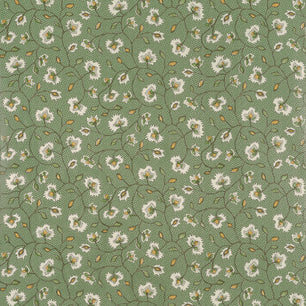 CHELSEA - Emerald - Thibaut - AT57844 - BRISTOL