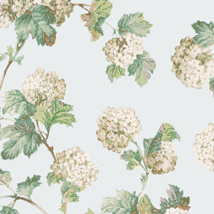 SUSSEX HYDRANGEA - Soft Blue - Thibaut - AT57845 - BRISTOL