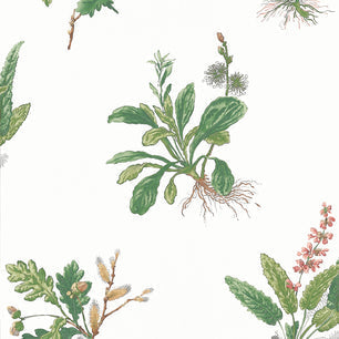 WOODLAND - Green and Blush - Thibaut - AT57852 - BRISTOL