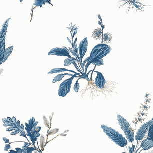 WOODLAND - Blue - Thibaut - AT57854 - BRISTOL