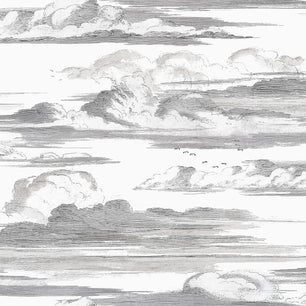 CIELO - Black and White - Thibaut - AT57872 - BRISTOL