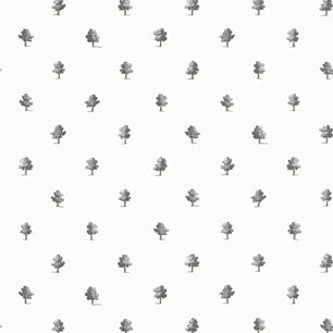 ASHTON - Black and White - Thibaut - AT57876 - BRISTOL