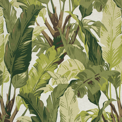 Travelers Palm Sage Fabric - F910131 - Thibaut Fabric