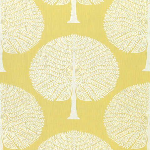 Mulberry Tree Yellow Fabric - F910605 - Thibaut Fabric