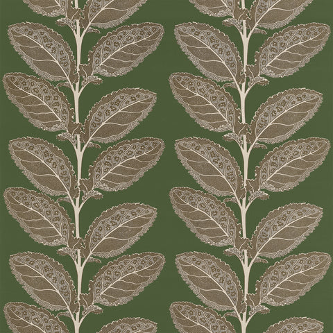 Lacinato Wild Sage Fabric - F912040 - Thibaut Fabric