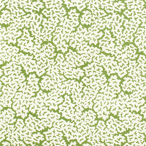 Maldives Green Fabric - F942041 - Thibaut Fabric