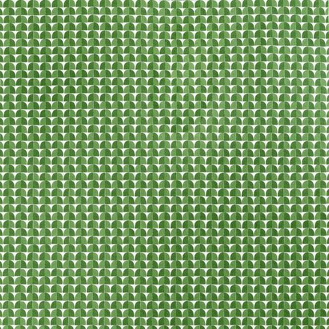 Solsbury Green Fabric - F945019 - Thibaut Fabric