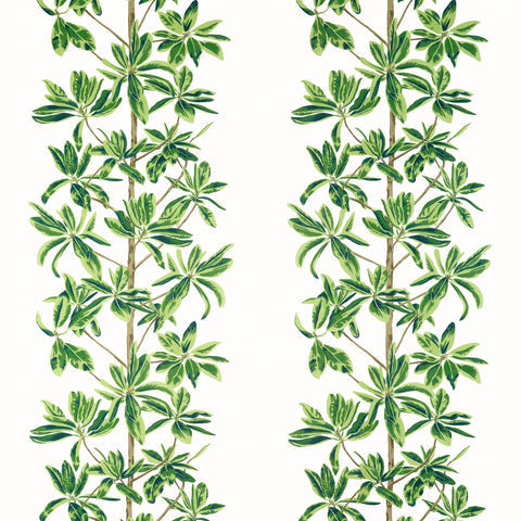 Mangrove Tree Green and White Fabric - F945035 - Thibaut Fabric