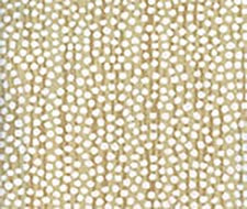 Alan Campbell - Mojave - AP709-4 - Tans