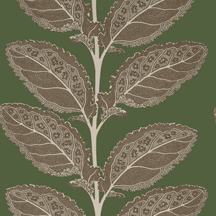 LACINATO - Wild Sage - Thibaut - T12040 - VISTA