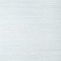 T14527 | Luta Sisal, Texture Resource 8 - Thibaut Wallpaper