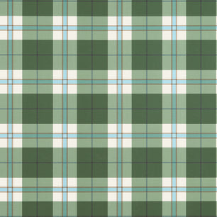 DOUGLAS PLAID - Green - Thibaut - T44071 - STRIPES & CHECKS RESOURCE
