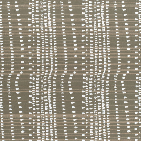 Cape Town Taupe Fabric - W710107 - Thibaut Fabric