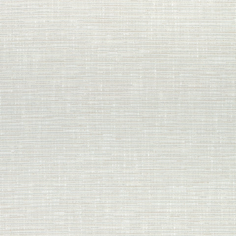 Cadence Oyster Fabric - W74047 - Thibaut Fabric