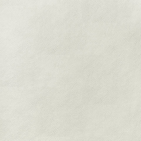 Arcata Ivory Fabric - W78381 - Thibaut Fabric