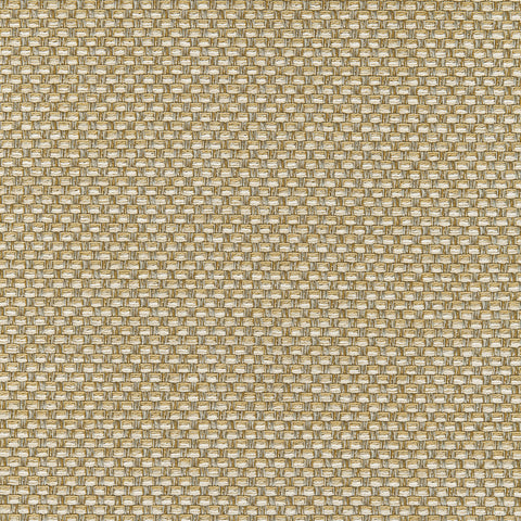 Palmetto Straw Fabric - W80230 - Thibaut Fabric