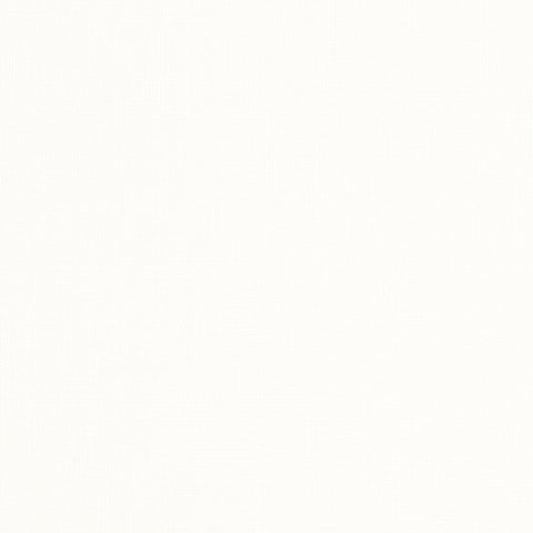 Brynn Natural Fabric - W81678 - Thibaut Fabric