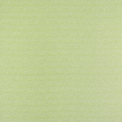 Calista Kiwi Fabric - W81716 - Thibaut Fabric