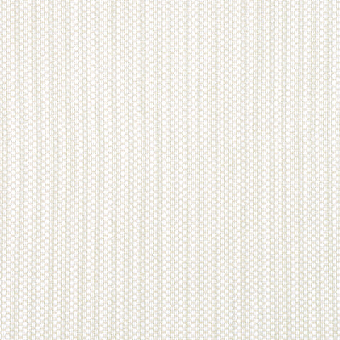 Ravenna Sand Fabric - W8614 - Thibaut Fabric