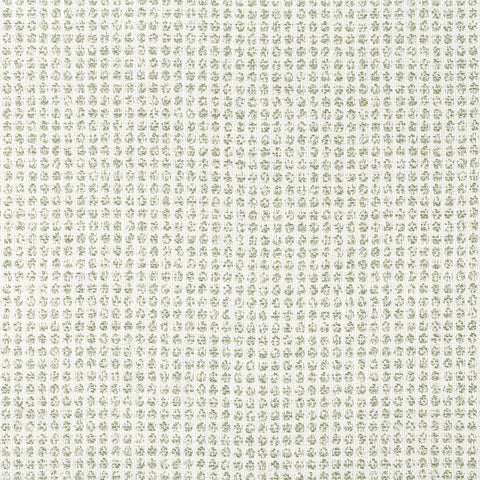 Remy Dot Aloe Fabric - W8703 - Thibaut Fabric