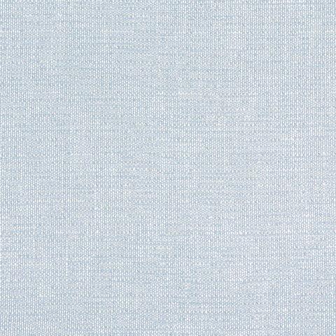 Petra Powder Fabric - W8739 - Thibaut Fabric