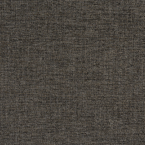 Sacchi Ebony Fabric - W8758 - Thibaut Fabric