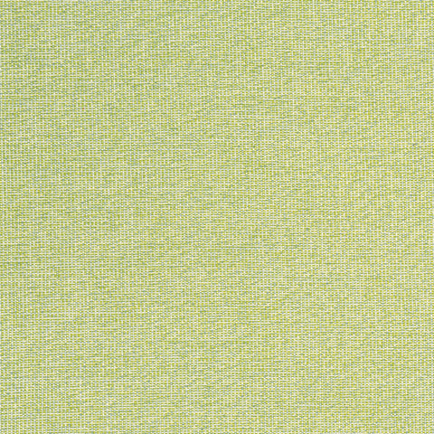 Sacchi Leaf Fabric - W8763 - Thibaut Fabric