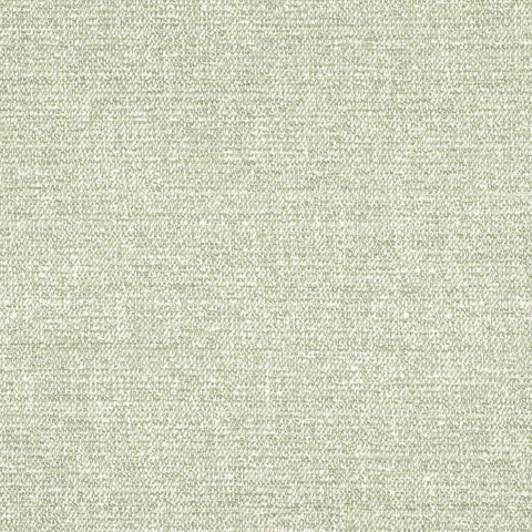 Calais Aloe Fabric - W8800 - Thibaut Fabric