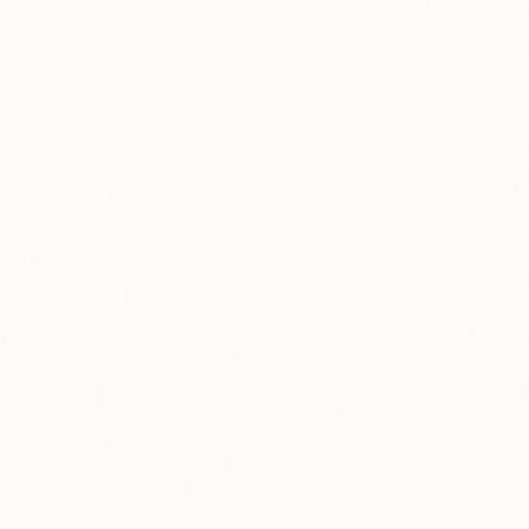 Alto Velvet Ivory Fabric - W8939 - Thibaut Fabric