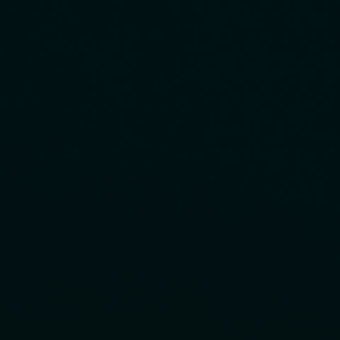 Alto Velvet Onyx Fabric - W8942 - Thibaut Fabric