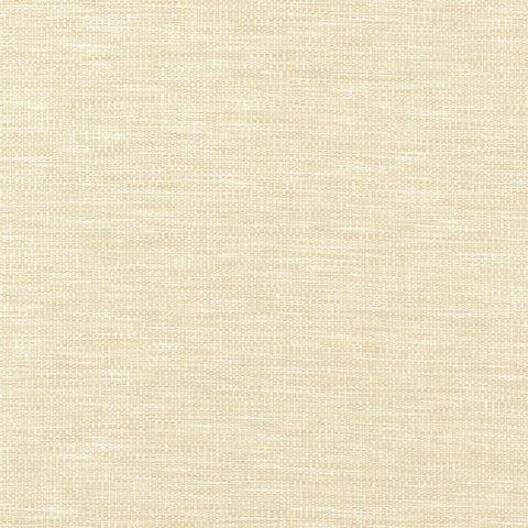Kaden Parchment Fabric - W9116 - Thibaut Fabric