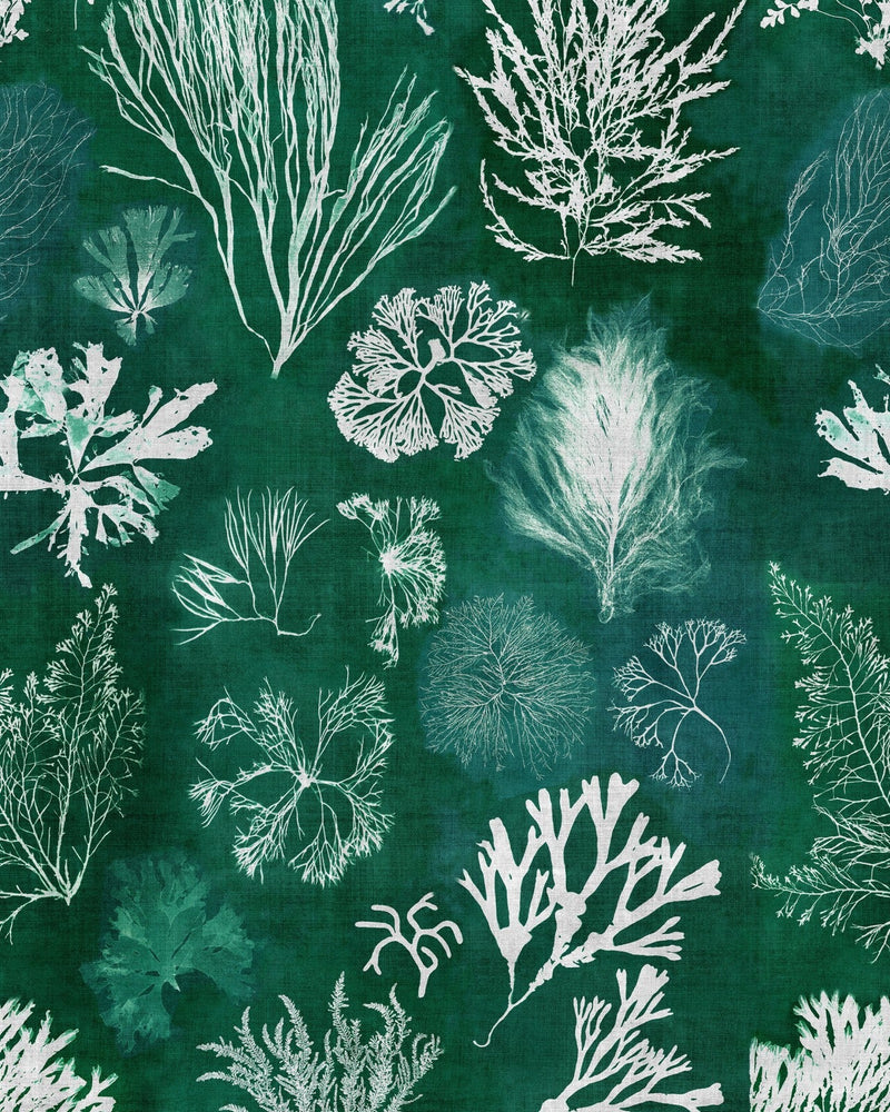 Mind The Gap - ALGAE Moss Wallpaper - WP20296
