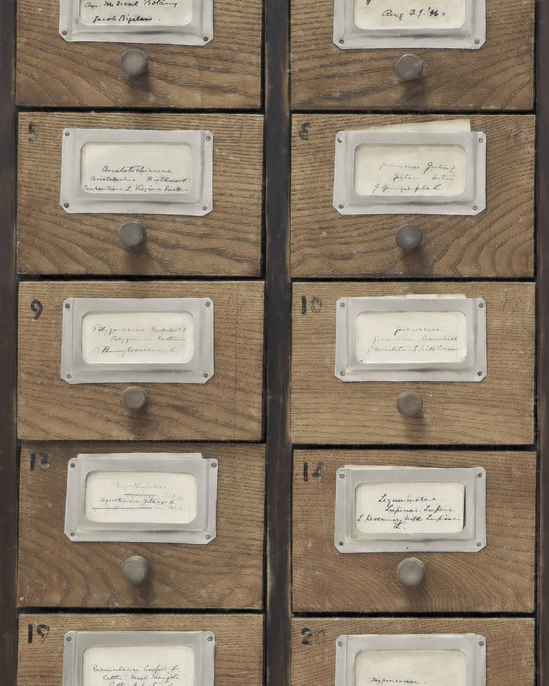 Mind The Gap - APOTHECARY Neutral Wallpaper - WP20264