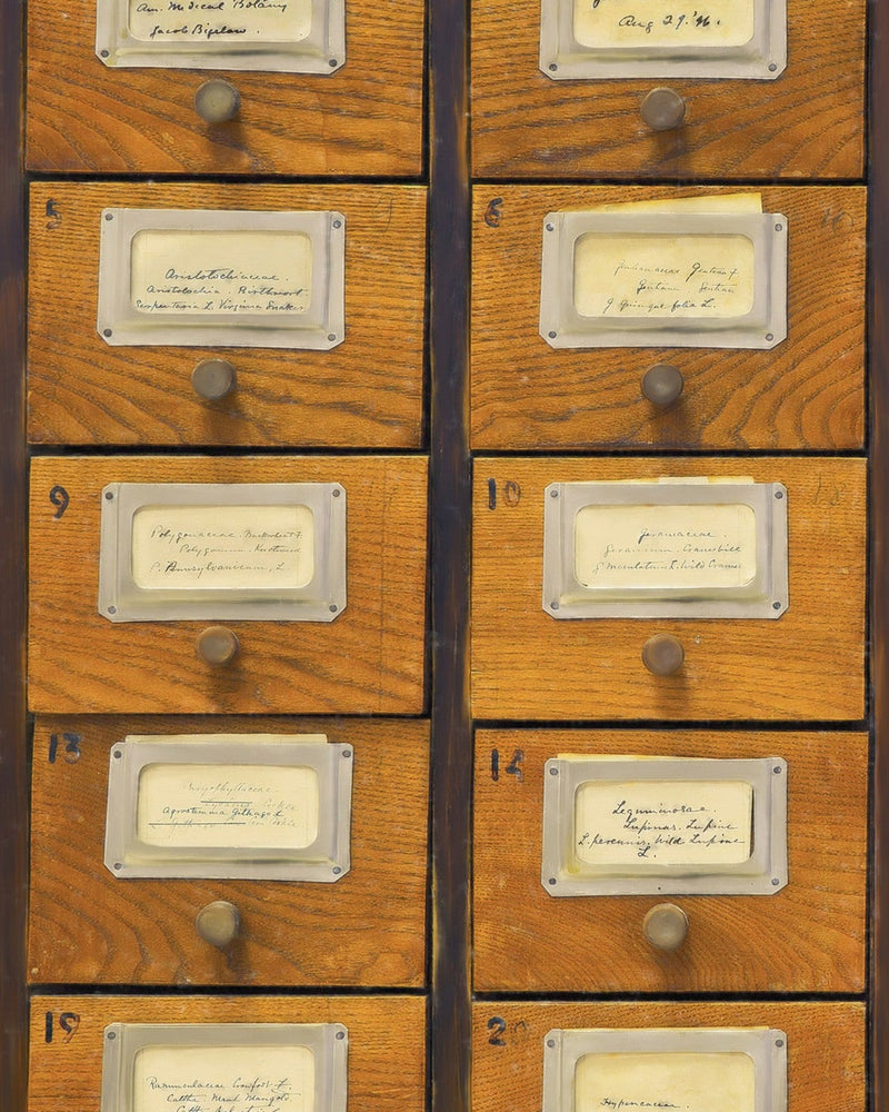 Mind The Gap - APOTHECARY Wallpaper - WP20249